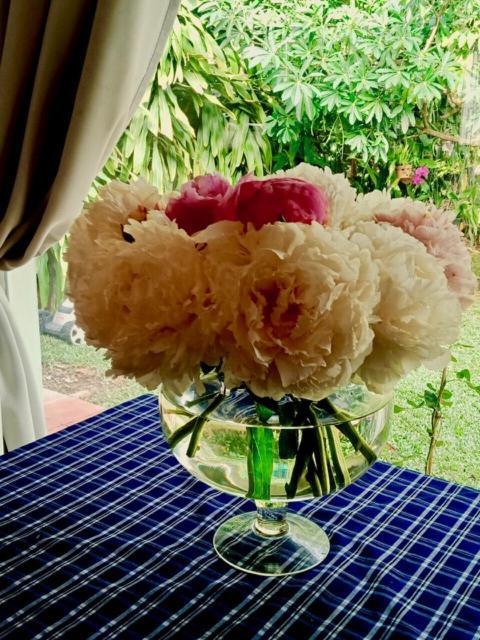 Bamboo Garden Resort フーコック エクステリア 写真